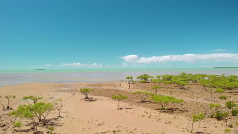 Luftdrohnenansicht-über-Bäume,-Strand-Und-Seichtes-Wasser,-In-Clairview,-Queensland,-Australien