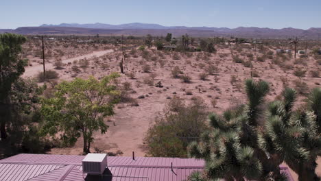Reveal-of-Joshua-Tree-California-neighborhood-in-desert