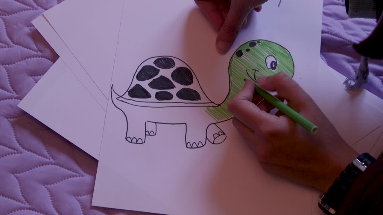Easy turtle drawing
