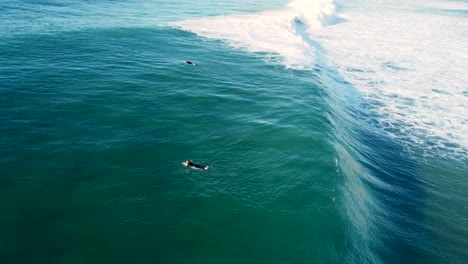 Drone-aerial-shot-of-surfboard-riders-paddling-out-in-ocean-swell-waves-clear-day-The-Entrance-Central-Coast-NSW-Australia-4K