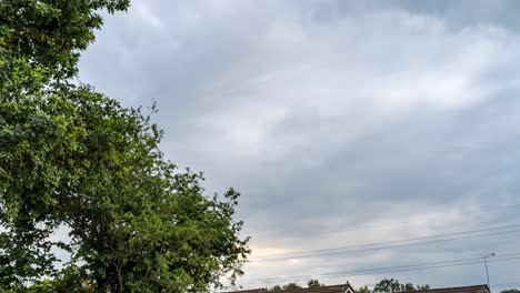 Timelapse,-Day-to-Night-on-Cloudy-day,-large-tree-and-passing-clouds-above-Suburban-Housing