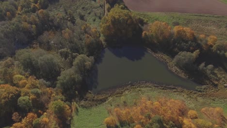 Wasserteich-Zwischen-Farbigen-Bäumen-An-Einem-Sonnigen-Herbsttag