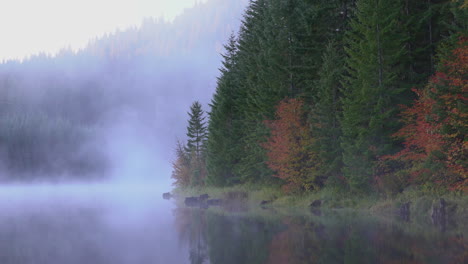 Medium-wide-of-lake-edge-with-foggy-forest-in-Autumn