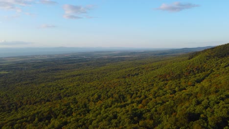 Quebec-Mountain-slope-with-Beautiful-Tree-Covered-Forest-Landscape---Aerial