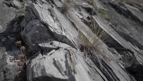 Rock-texture-in-the-swiss-alps-during-summertime