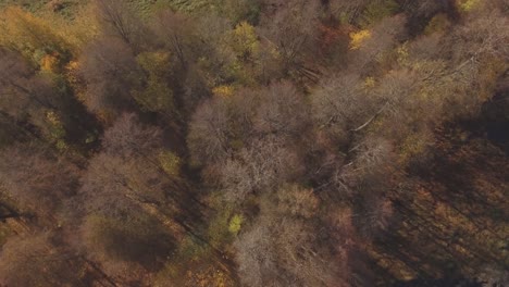 Bunte-Bäume-Am-Gewundenen-Fluss-An-Einem-Sonnigen-Herbsttag-1