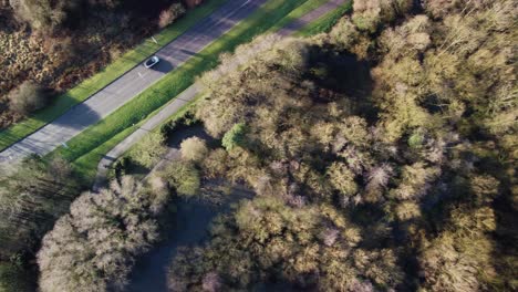 Aerial-view-of-treetops-in-winter,-no-leaves,-sunny-day-revealing-road
