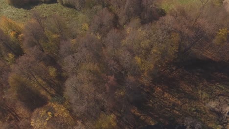 Bunte-Bäume-Am-Gewundenen-Fluss-An-Einem-Sonnigen-Herbsttag