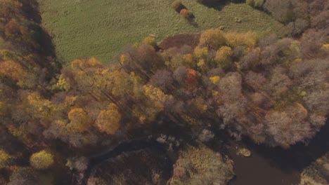Die-Ufer-Des-Gewundenen-Flusses-Sind-An-Einem-Sonnigen-Herbsttag-Mit-Bunten-Bäumen-Bewachsen