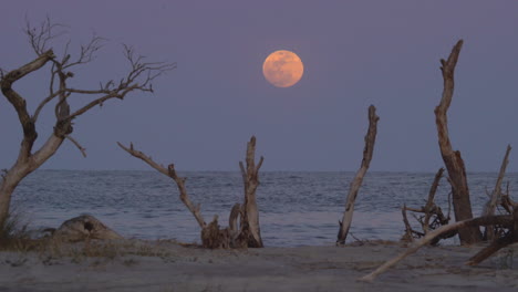 Full-moon-rising-over-the-ocean-at-sunset,-medium-wide