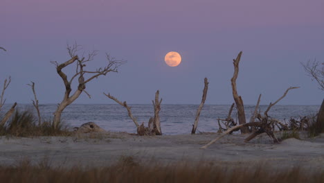 Full-moon-rising-over-the-ocean-at-sunset