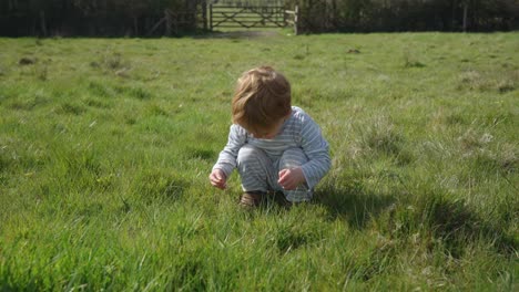 Toddler-boy-crouches-to-pick-yellow-dandelion-flowers-in-field,-in-front