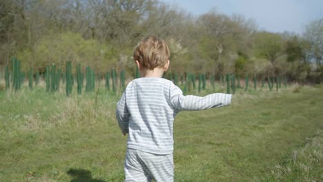 Toddler-boy-runs-through-field-along-young-trees-on-sunny-day,-slow-motion