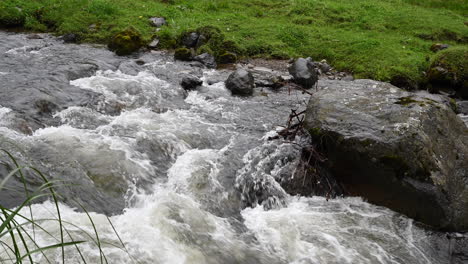 Close-up-of-river-flowing-in-the-middle-of-woodlands-of-Ecuador