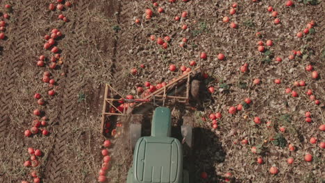 4k-Tractor-in-Pumpkin-patch---Drone-Flight-Dolly-in-Overhead