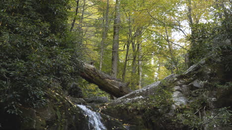 Small-waterfall-in-Appalachia-forest-in-fall