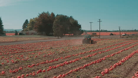 4k-Tractor-in-Pumpkin-patch---Drone-Flight-Dolly-right