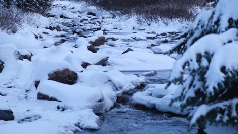 Icy-river-in-Assiniboine-National-Park