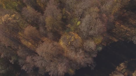 Die-Ufer-Des-Sich-Schlängelnden-Flusses,-Der-An-Einem-Sonnigen-Herbsttag-Mit-Bäumen-Bewachsen-Ist