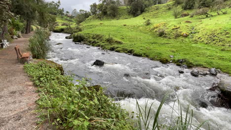 River-flowing-in-the-middle-of-woodland-of-Ecuador-1