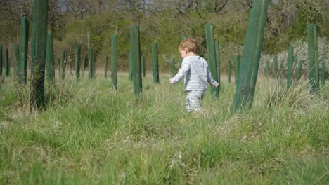 Toddler-boy-walks-in-field-with-long-grass,-exploring-around-trees