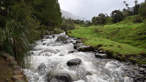 River-flowing-in-the-middle-of-woodland-of-Ecuador
