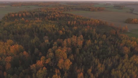 Mehrfarbiger-Wald-Am-Herbstabend-2
