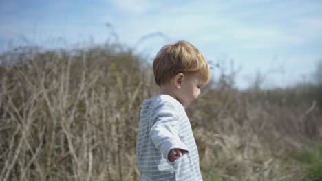 Toddler-boy-walks-in-field-on-sunny-day-against-tall-dead-bushes