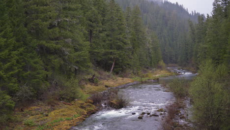 Camera-pan-of-Pacific-Northwest-river-and-forest