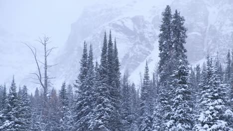Früher-Winter-In-Den-Kanadischen-Rockies