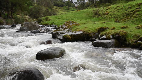 Close-up-of-river-flowing-in-the-middle-of-woodlands-of-Ecuador-1