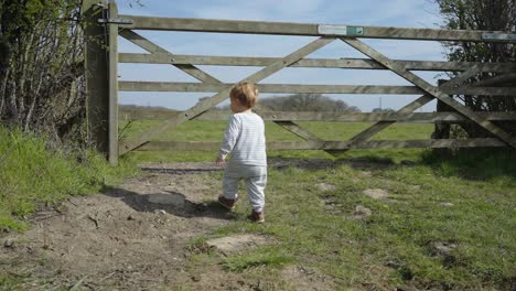 Toddler-boy-runs-up-to-wooden-gate,-waits-to-go-through-to-the-field