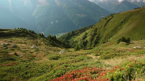 Summer-Landscape-in-the-swiss-alps