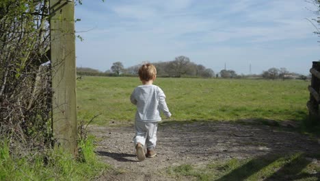 Toddler-boy-walks-through-wooden-gate-and-runs-through-field,-sunny-day