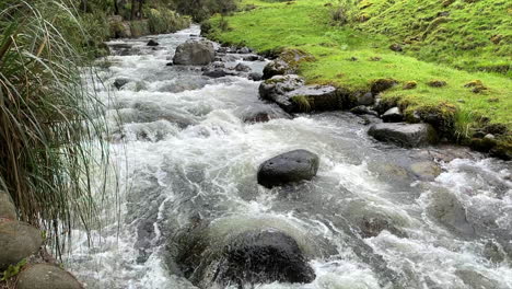 River-flowing-in-the-middle-of-woodland-of-Ecuador-2