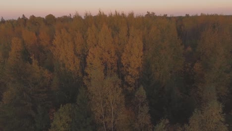 Bunter-Wald-Am-Herbstabend.-Luftfliegen-Nach-Hinten-Geschossen