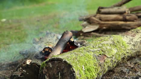 Kleines-Lagerfeuer-Auf-Baumstämmen-Mit-Rauch-Und-Flammen,-Nahaufnahme