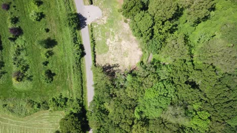 Aerial-view-of-forest-treetops-along-road,-pan-across-to-reveal-forest