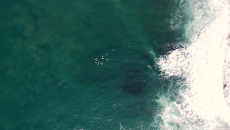 Drone-aerial-bird's-eye-view-of-group-of-surfers-waiting-on-reef-break-Central-Coast-Surfing-NSW-Australia-4K