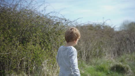 Toddler-boy-walks-in-field-on-sunny-day,-wandering-and-exploring-field
