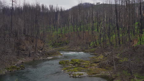 North-Umpqua-River-Szenisch-Nach-Waldbrand