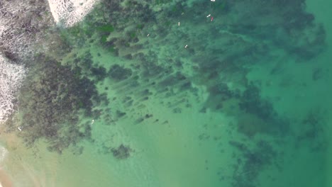 Drohnen-Luftaufnahme-Von-Shelly-Beach-Reef-Mit-Malibu-Surfern,-Sonniger-Nachmittag,-Central-Coast-Tourism,-NSW,-Australien-4k
