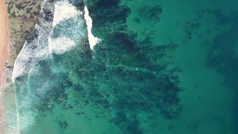 Drohne-Luftaufnahme-North-Shelly-Beach-Zoom-In-Vogelperspektive-Kristallklares-Wasser-Surfer-Surfen-Central-Coast-Nsw-Australien-4k