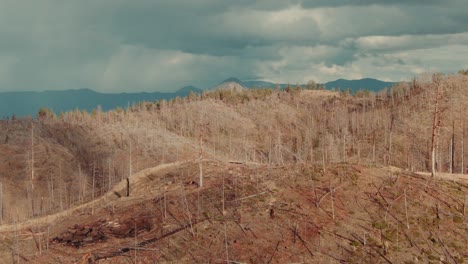4k-aerial-dead-trees-on-hills-drone-dolly-in-with-cloudy-sky-on-background