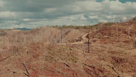 4k-aerial-dead-forest-on-hills-drone-dolly-in