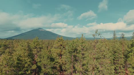 4k-Aerial-evergreen-forest-with-big-mount-in-background-Drone-jib-up