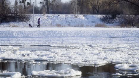 Woman-pulling-kid-on-sledge-next-to-the-river-with-ice-floes-static-shot