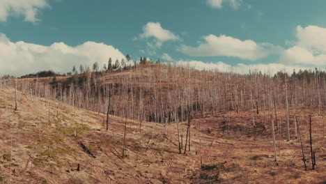 4k-aerial-dead-forest-on-hills-drone-truck-right