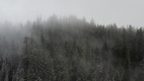 Paisaje-Invernal,-Antena-De-Bosque-Cubierto-De-Nieve,-Noroeste-Pacífico,-Montañas-En-Cascada