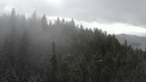 Luftaufnahme-Von-Schnee,-Der-über-Immergrünen-Wald-Fällt,-Pazifischer-Nordwesten